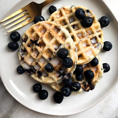 Two Ingredient Paleo Flourless Waffles