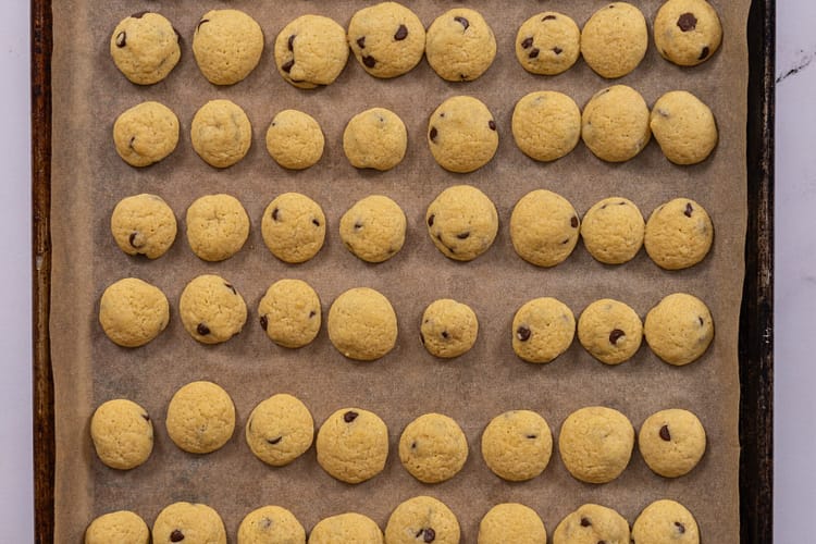 Homemade Cookie Crisp Cereal